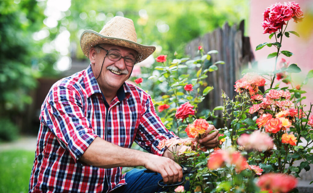 Older man in the garden snipping flowers and smiling at the camera